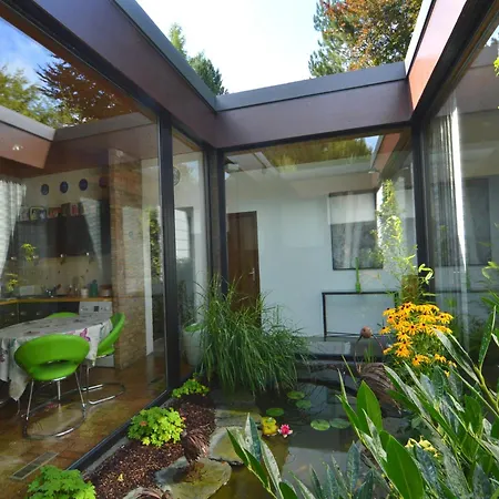 With Pool, فيلة *