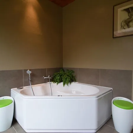 Villa Luxury With Swimming Pool Stavelot